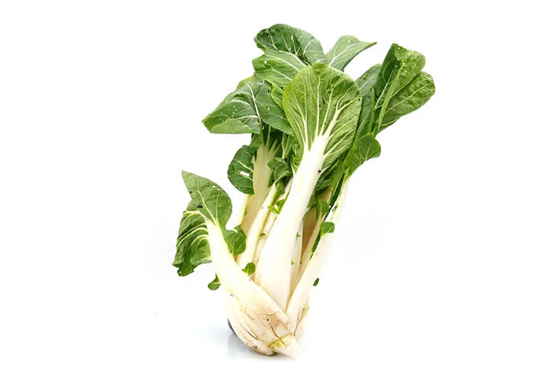 chou pakchoi