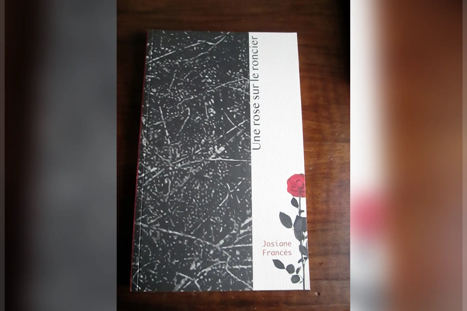 une rose sur le roncier