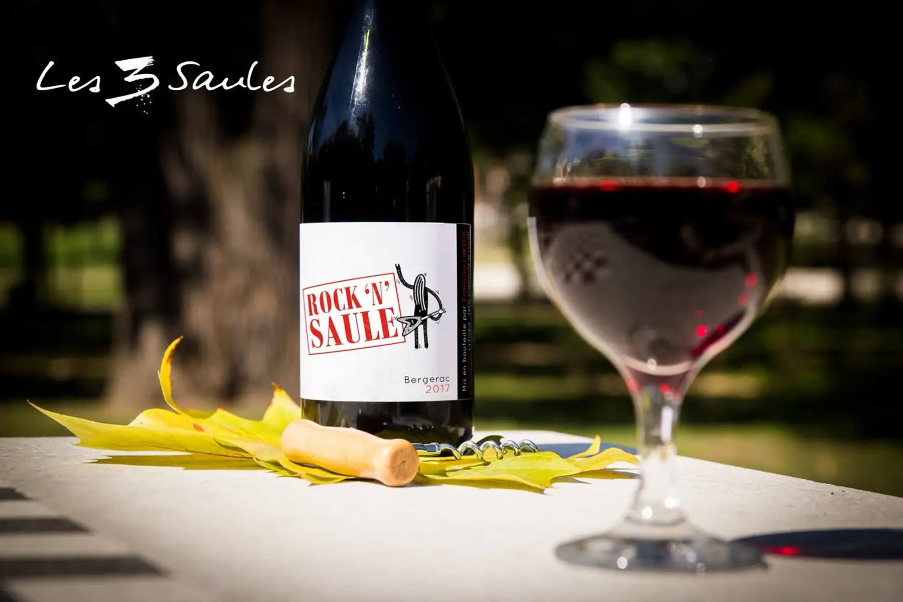 vin de france rouge 2021 - rock n saule