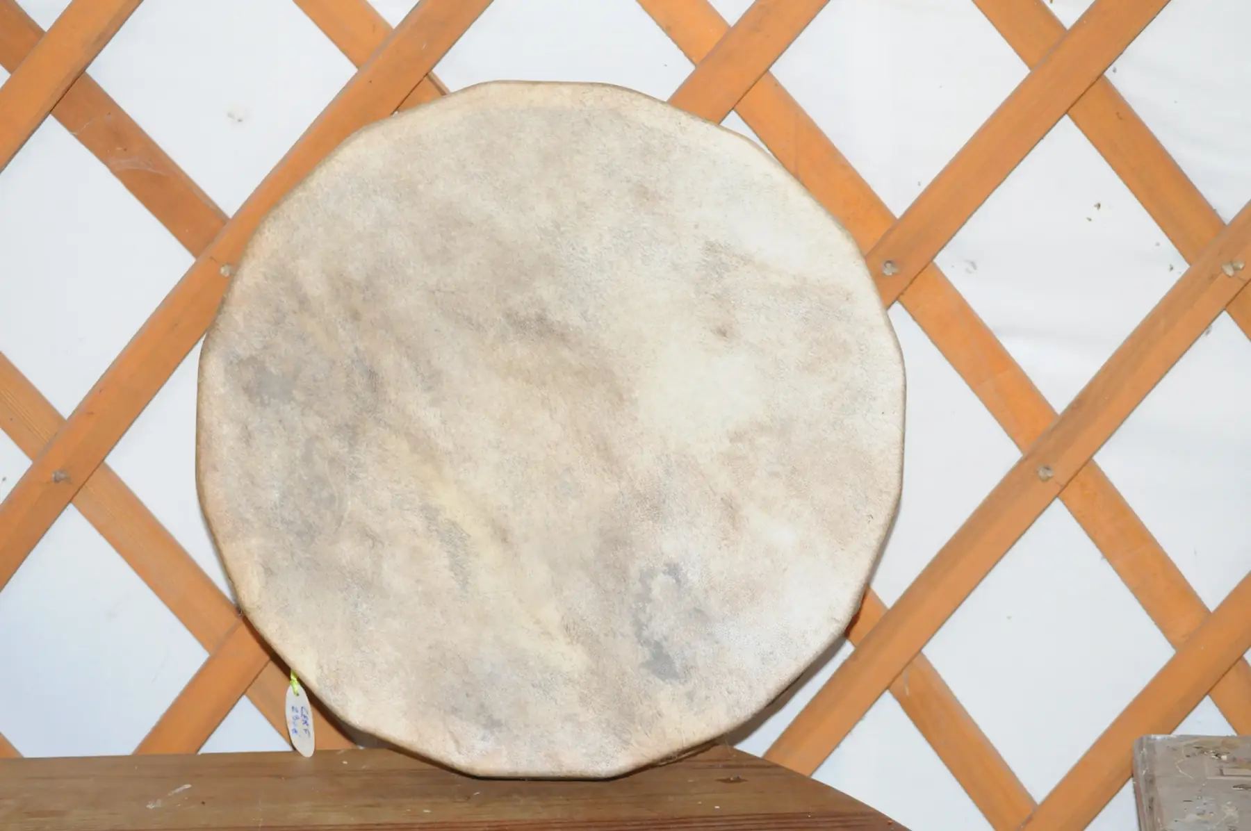 tambour chamanique (cerf)