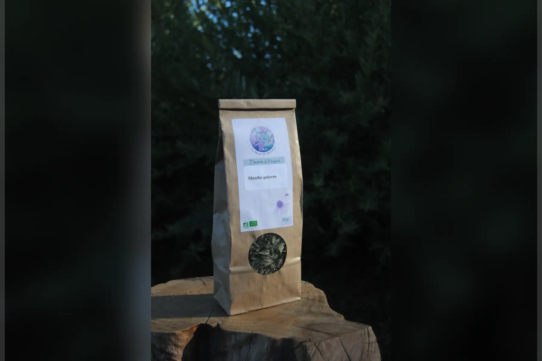 leïka et la magie des plantes