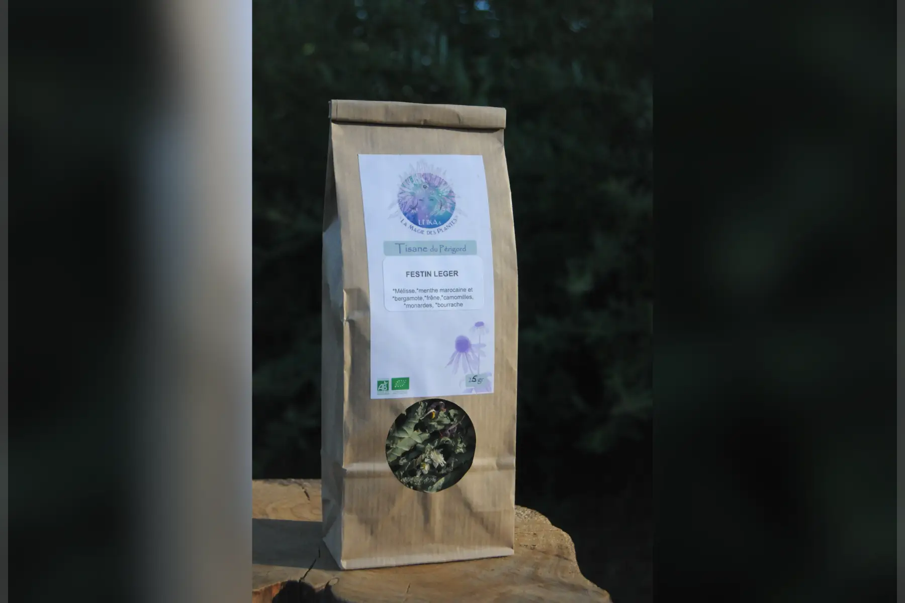 tisane "festin leger"