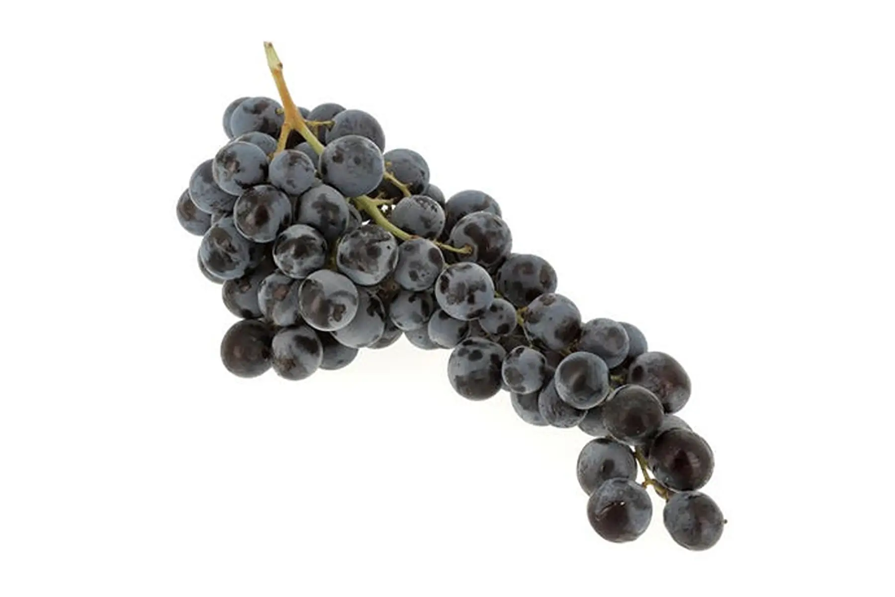 Raisin Muscat