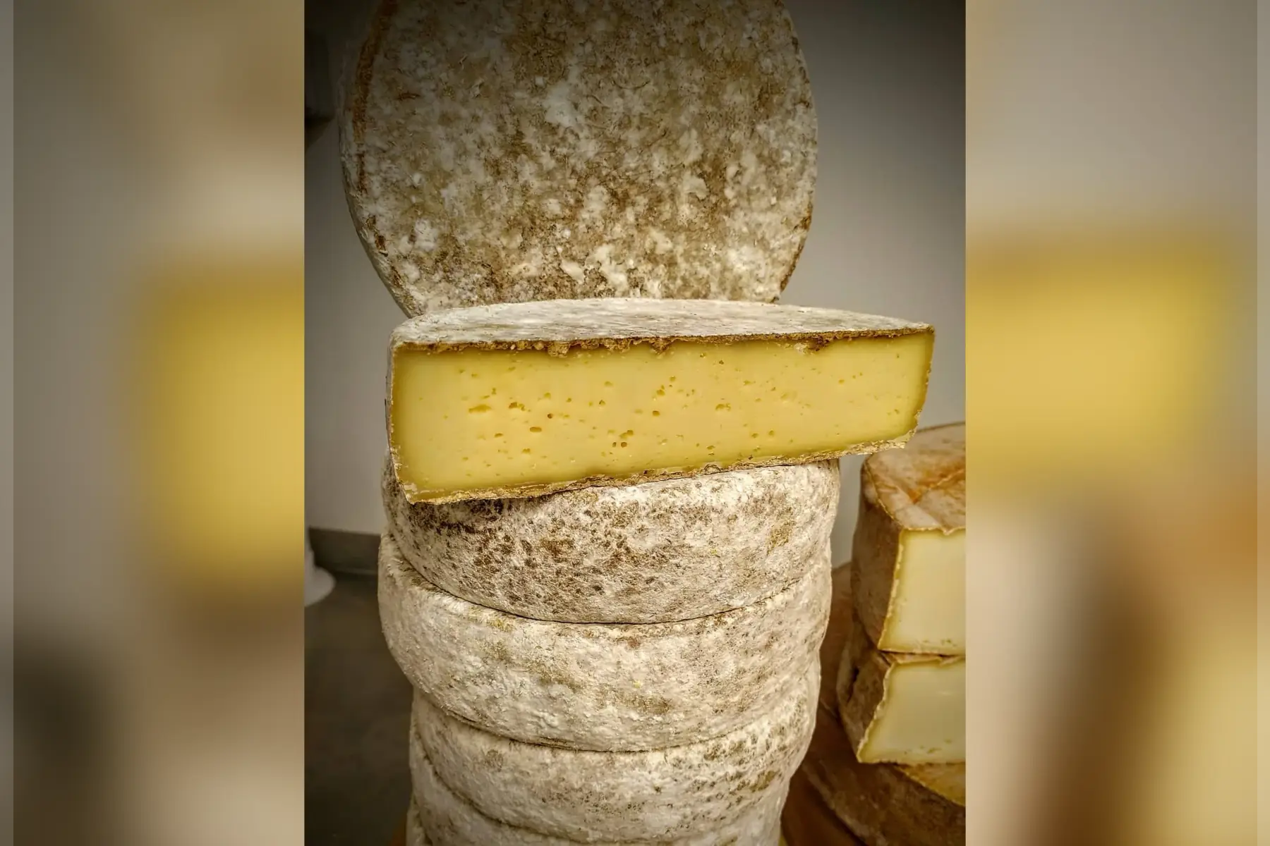 tomme tourangelle