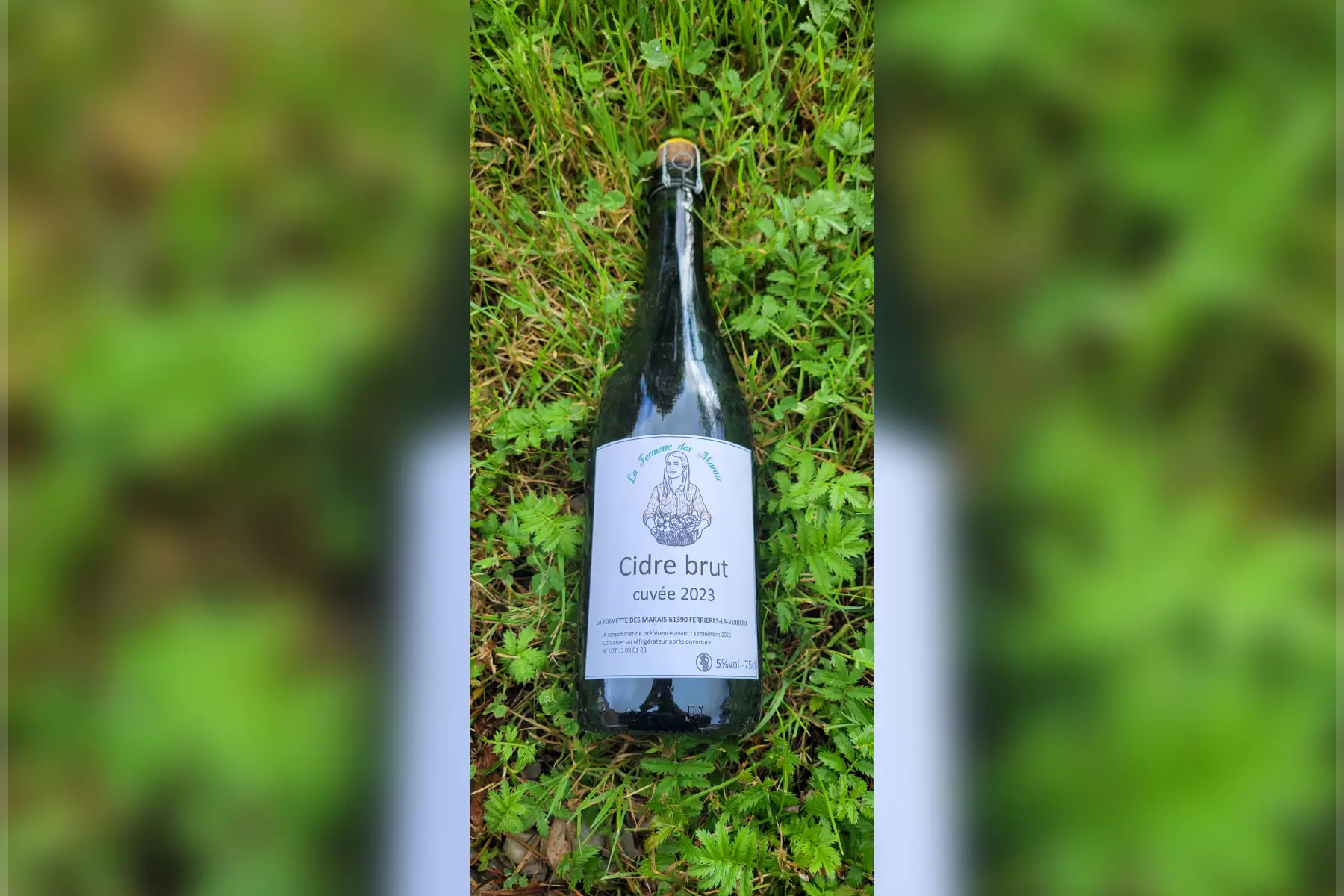 cidre brut - bouteille 75cl