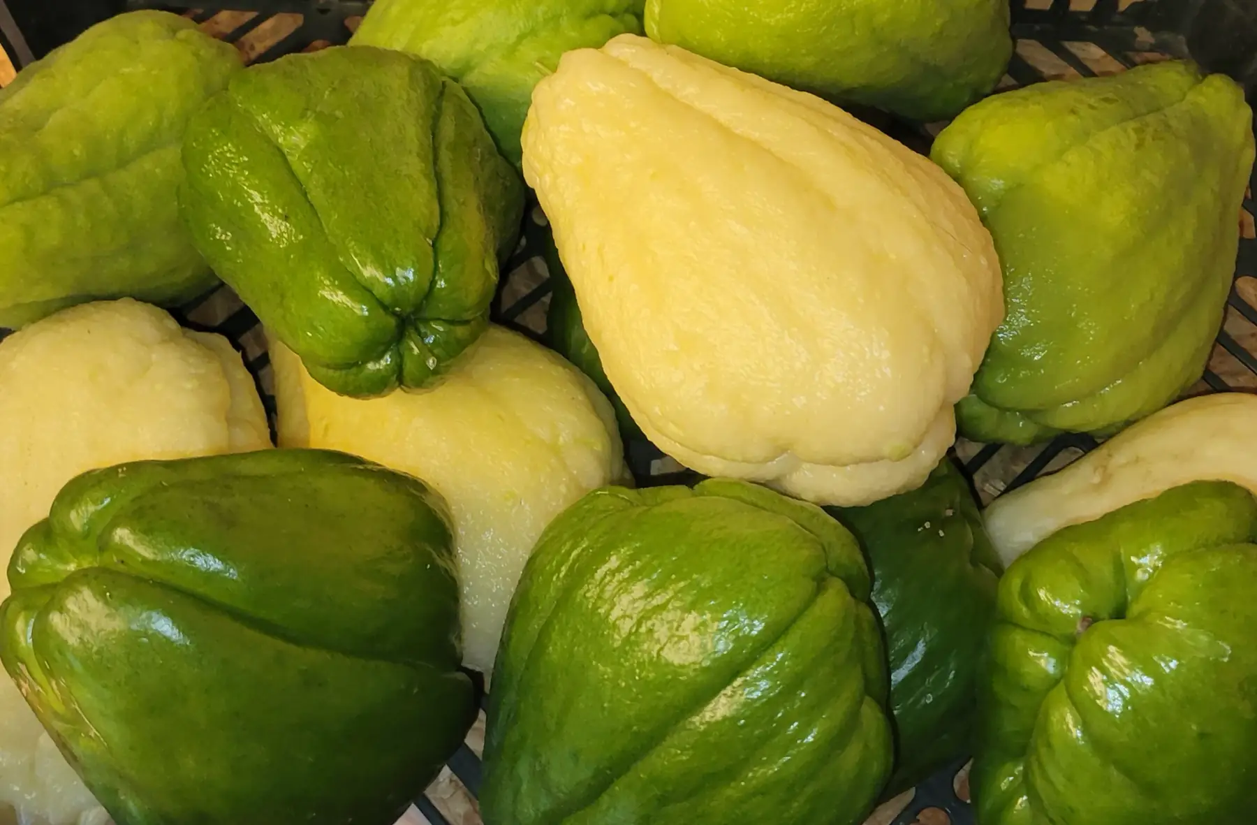 chayottes bio (environ 2 ou 3 grosses)