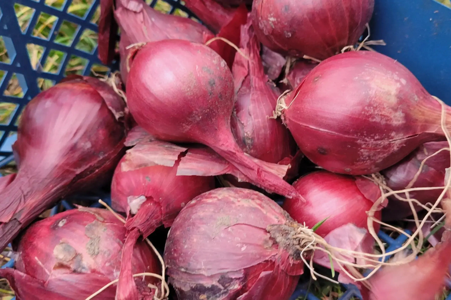 La Fermette des Marais