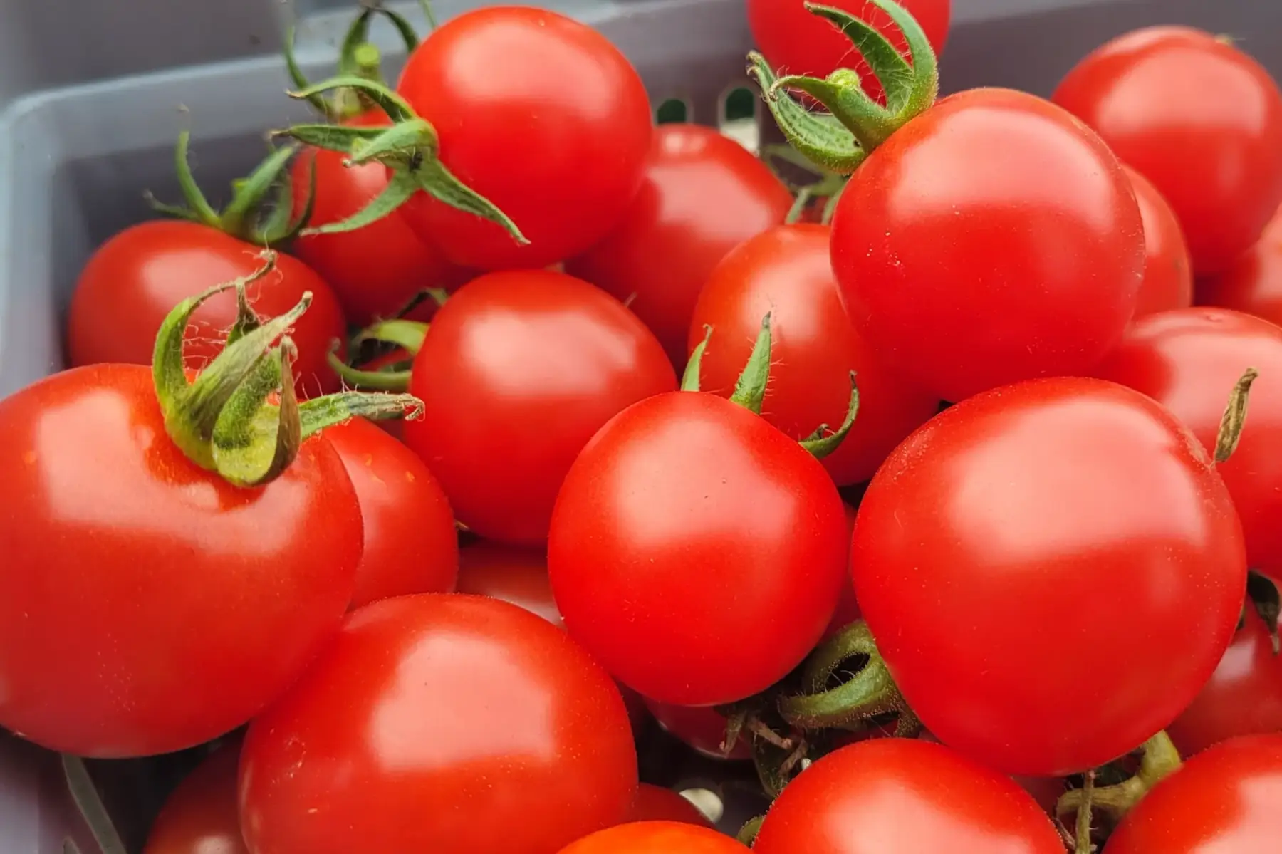 La Fermette des Marais