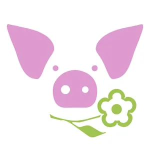 exploitation porcine 100% plein air