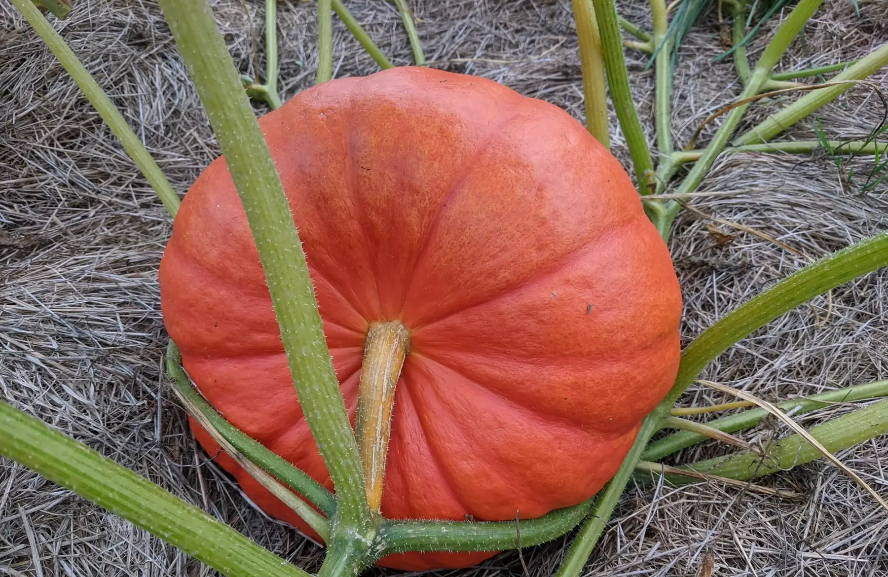les jardins de lunant