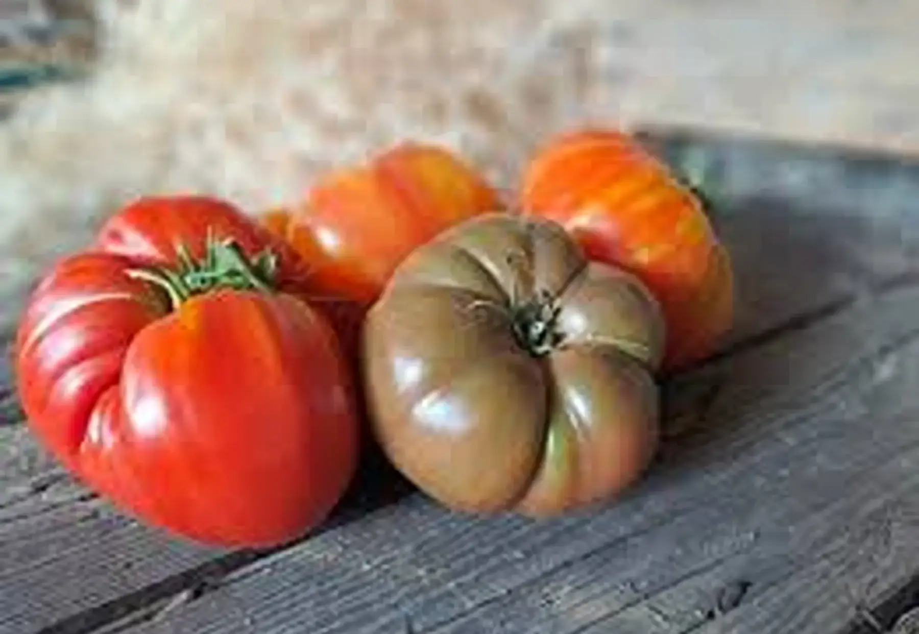 La ferme Esperanza
