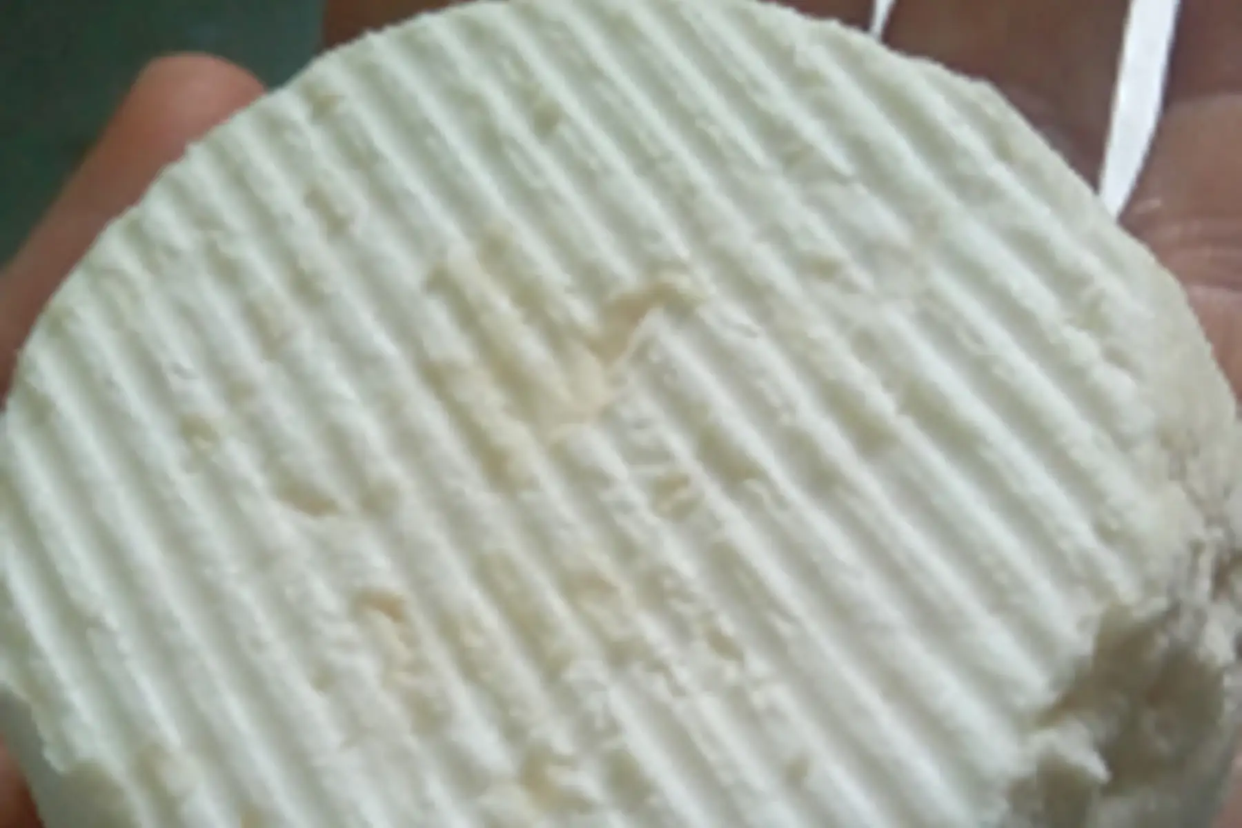 maxi crottin de chèvre frais