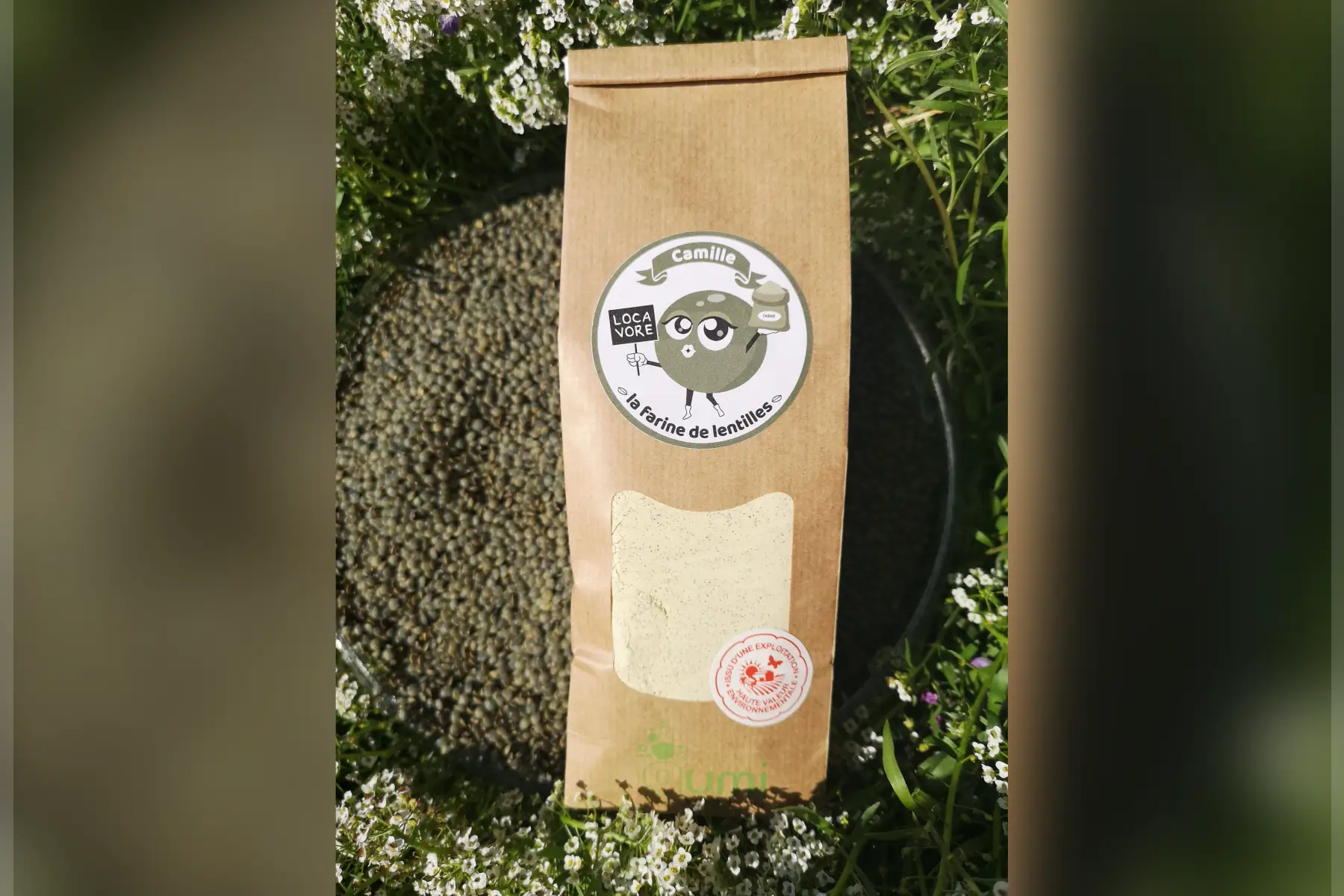 farine lentilles kraft 500