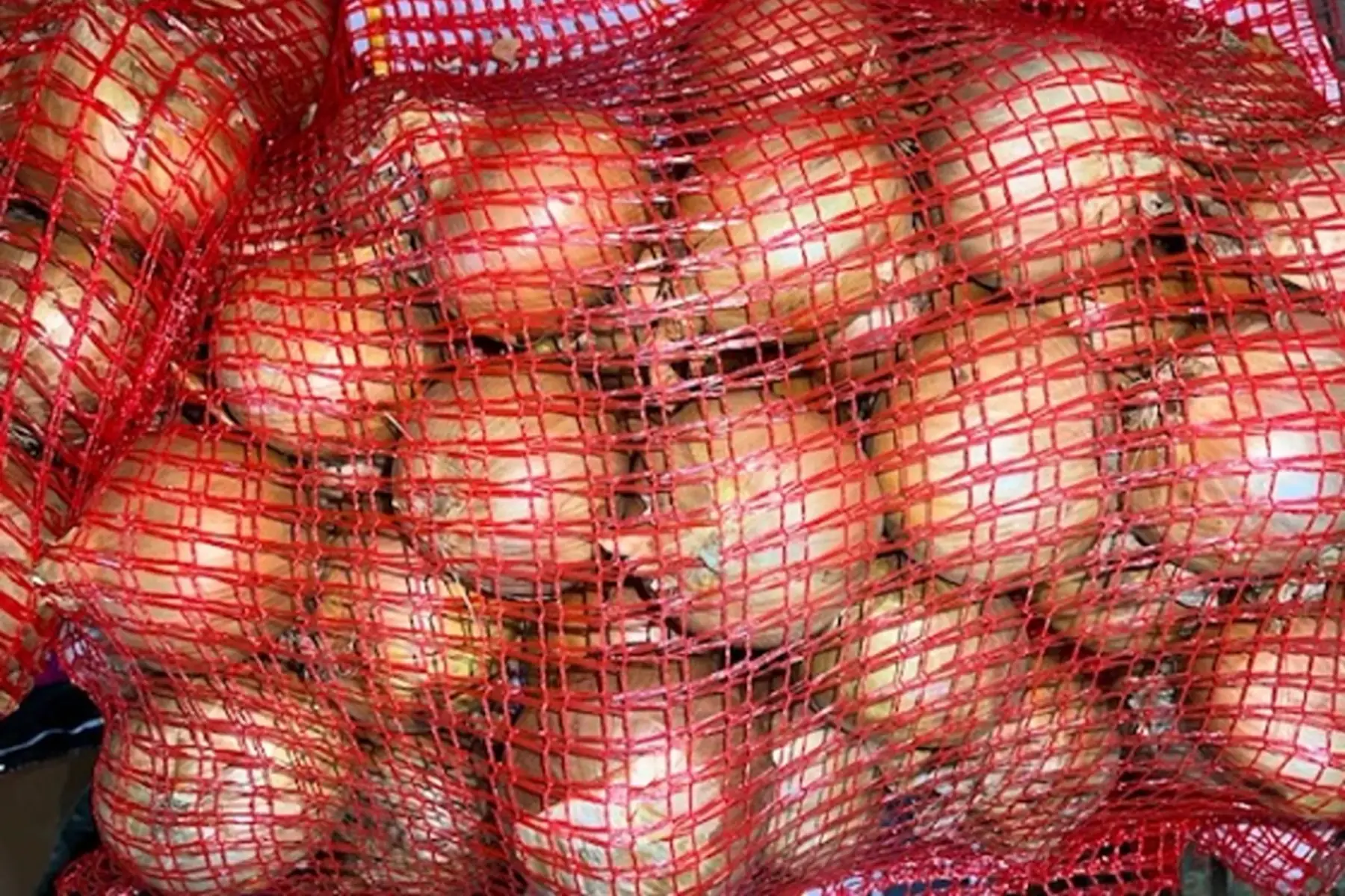 sac oignons rosés bio