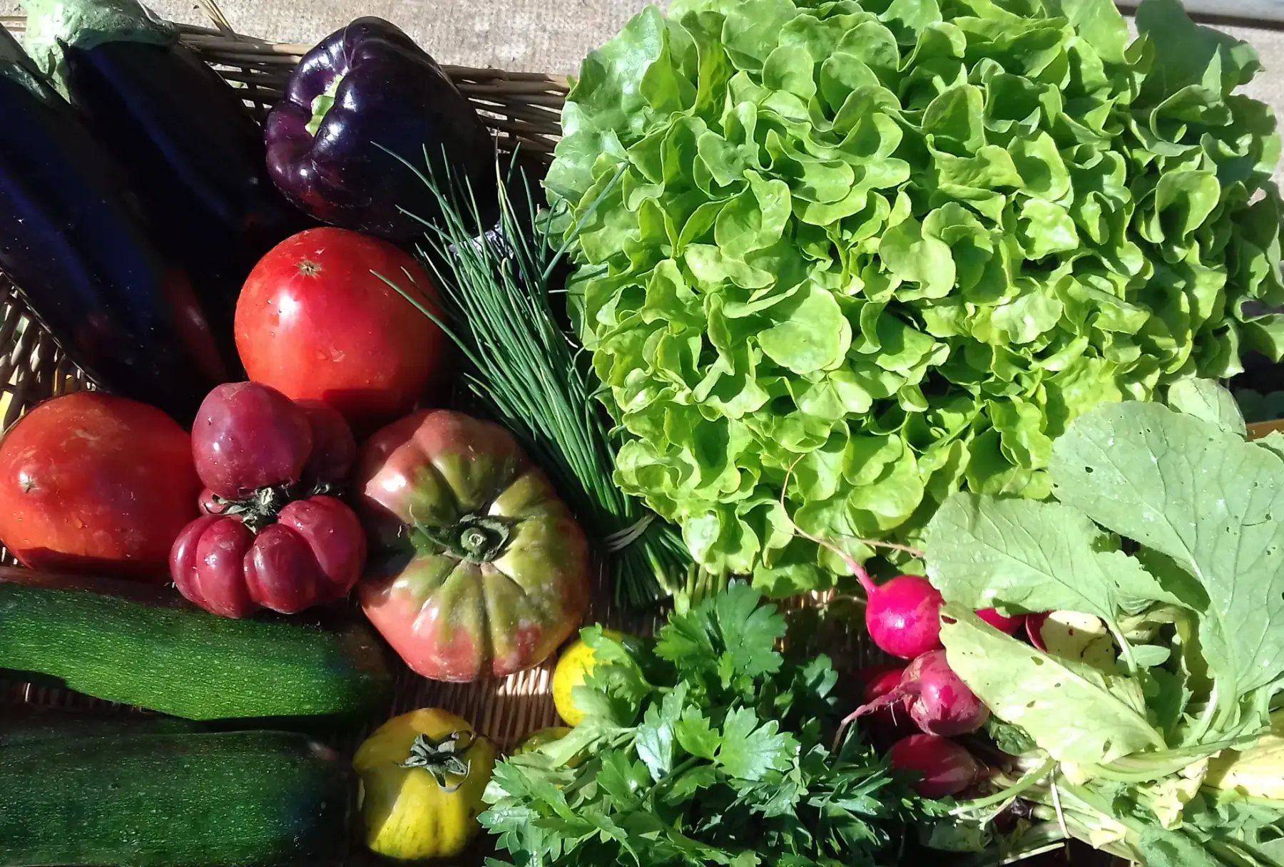 grand panier de légumes