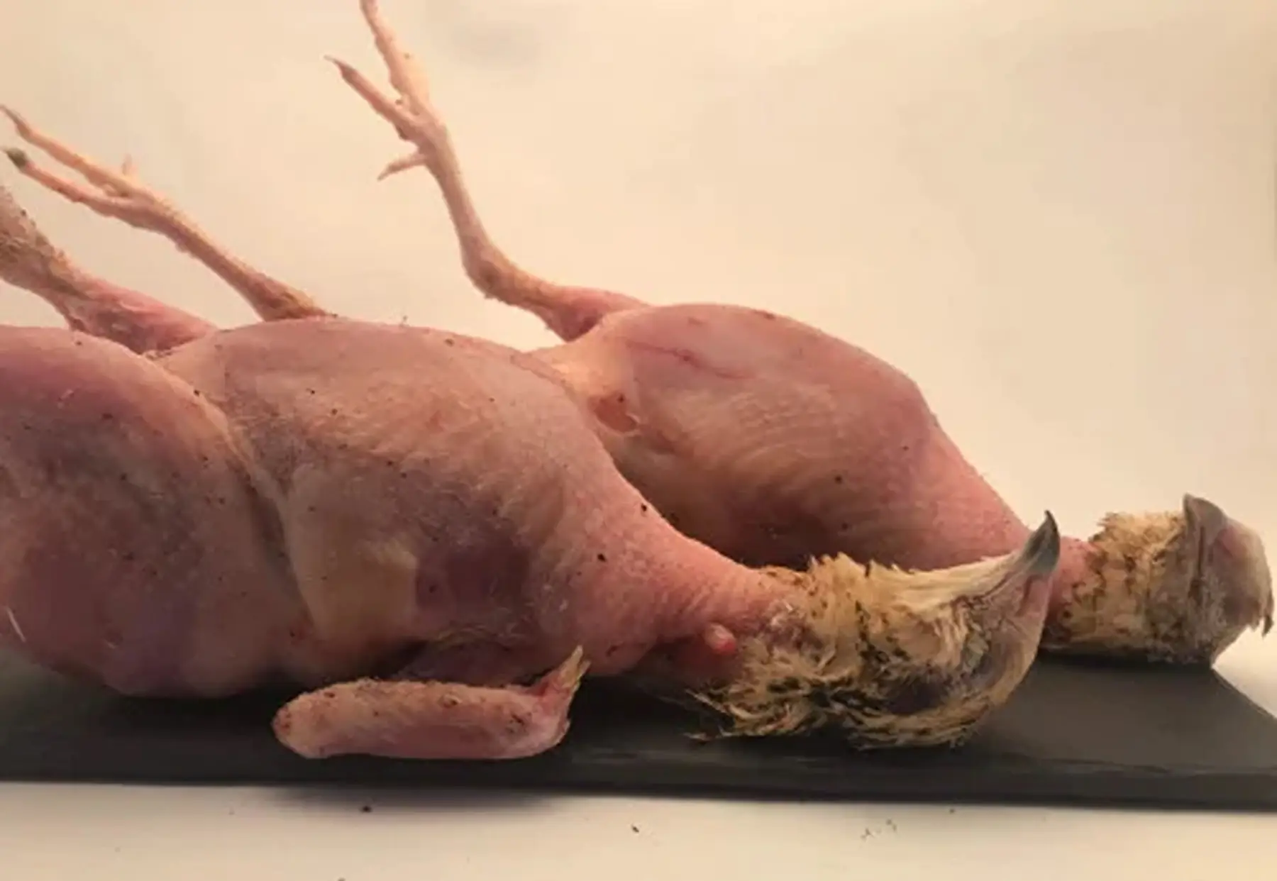 2 cailles élevées sur foin