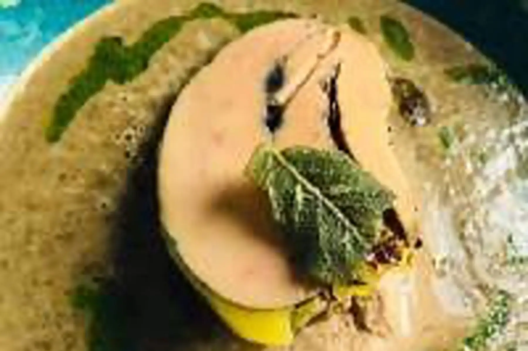 4 escalopes de foie gras de canard