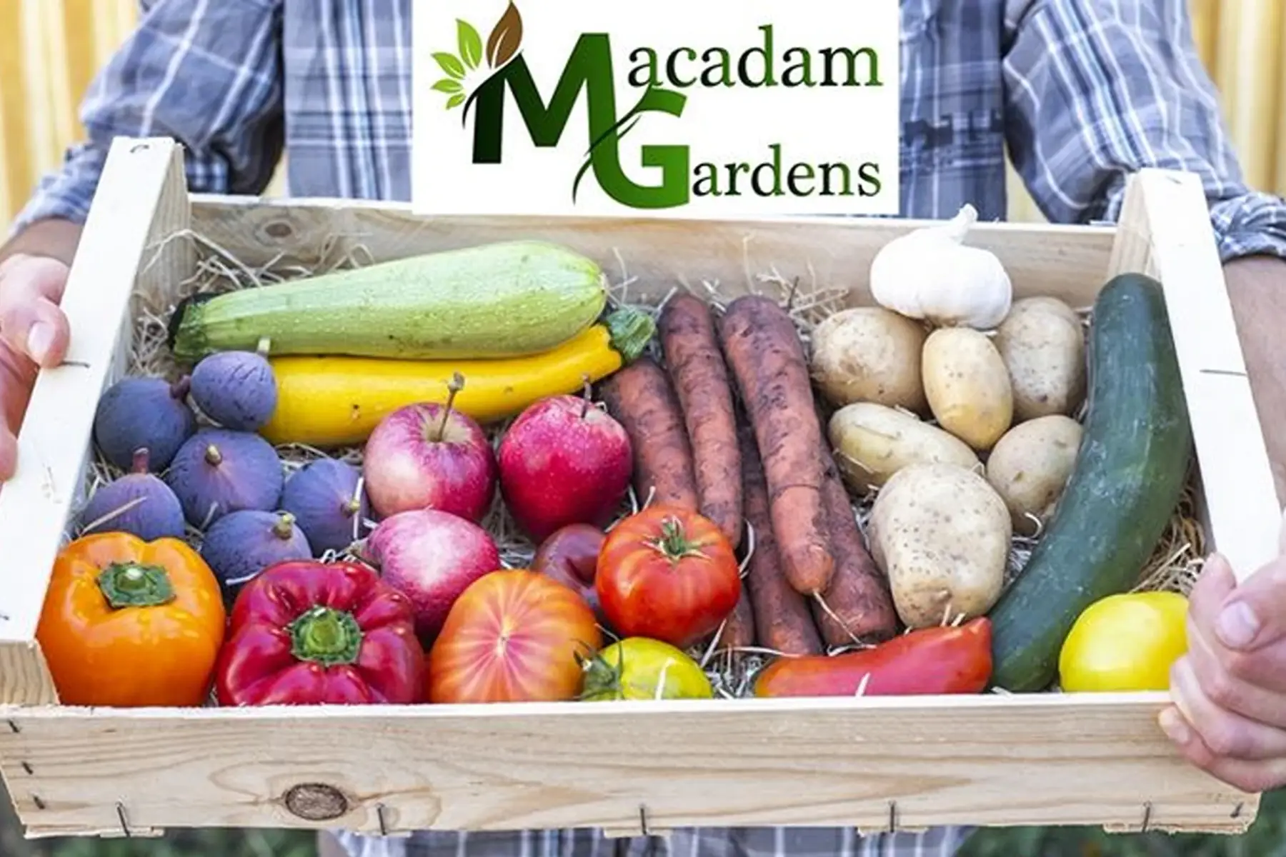 panier 100% légumes