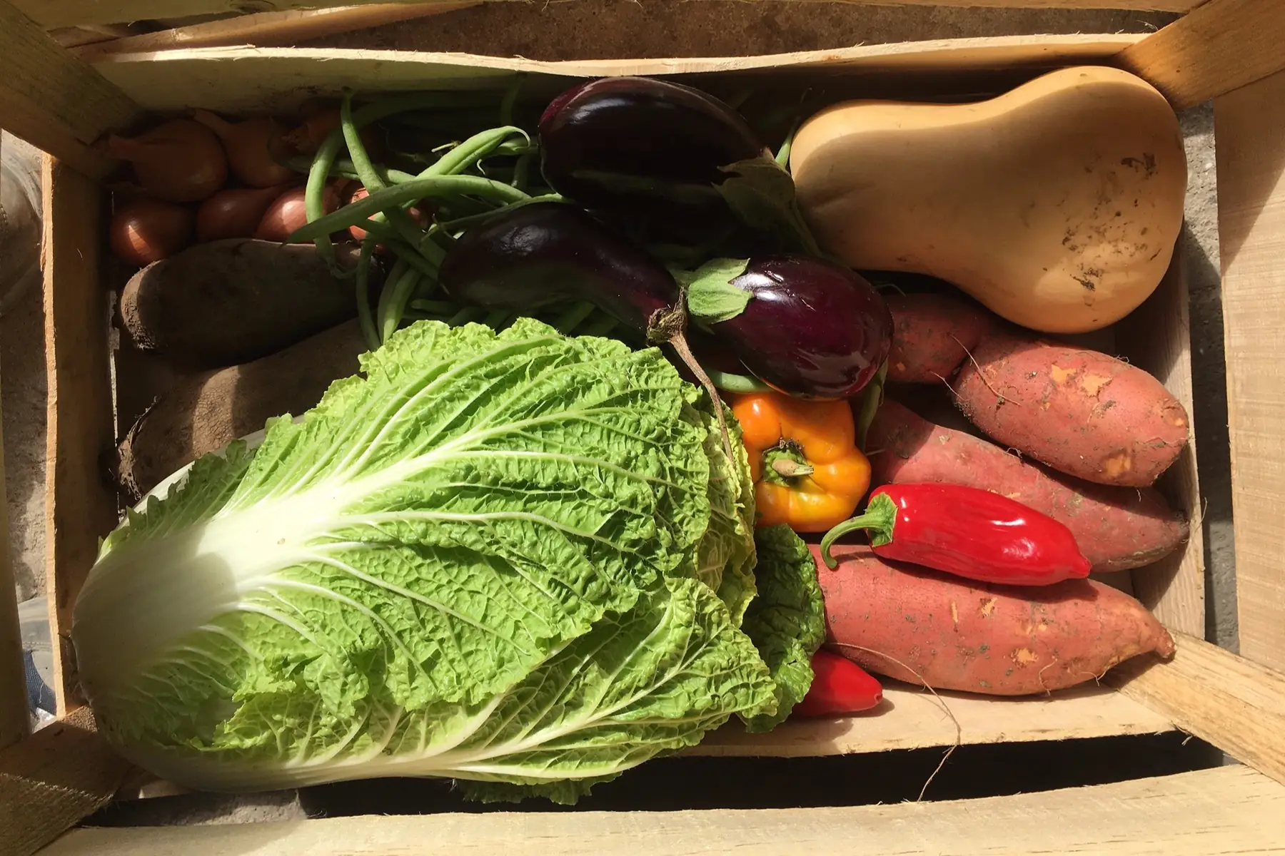 panier de légumes de saison taille moyenne