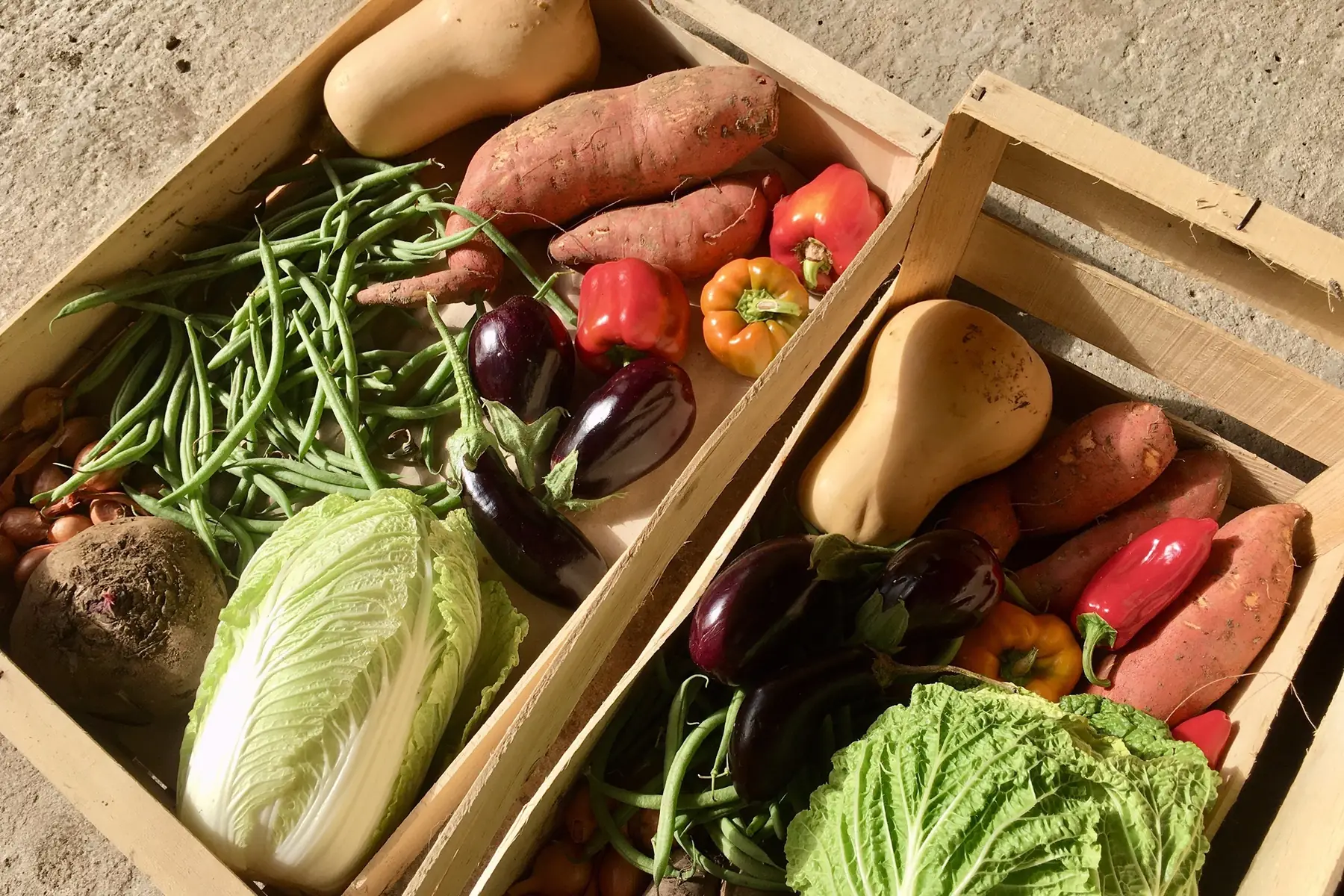 gaec l'accueillette du mignon