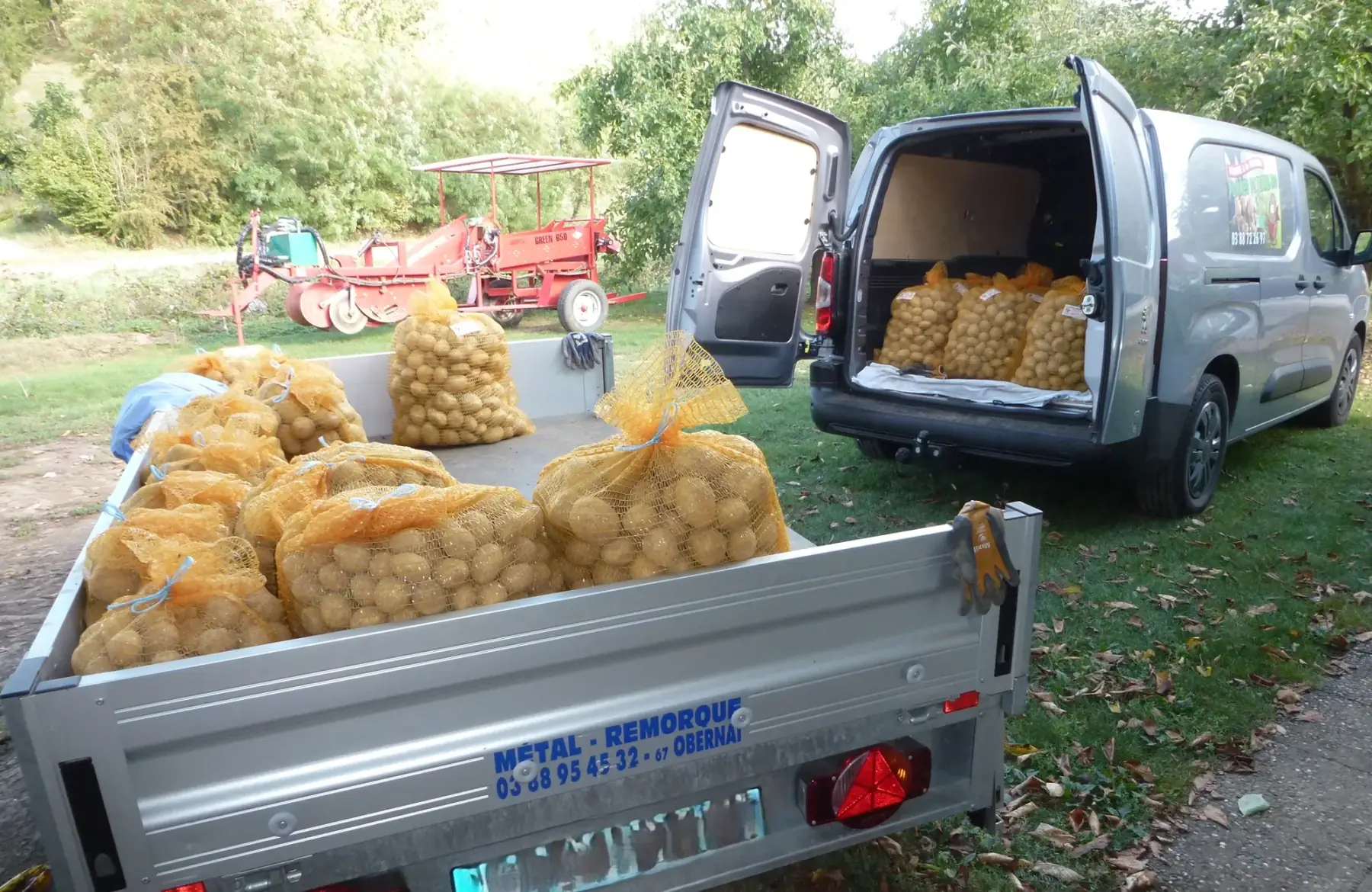 Pommes de Terre Nature