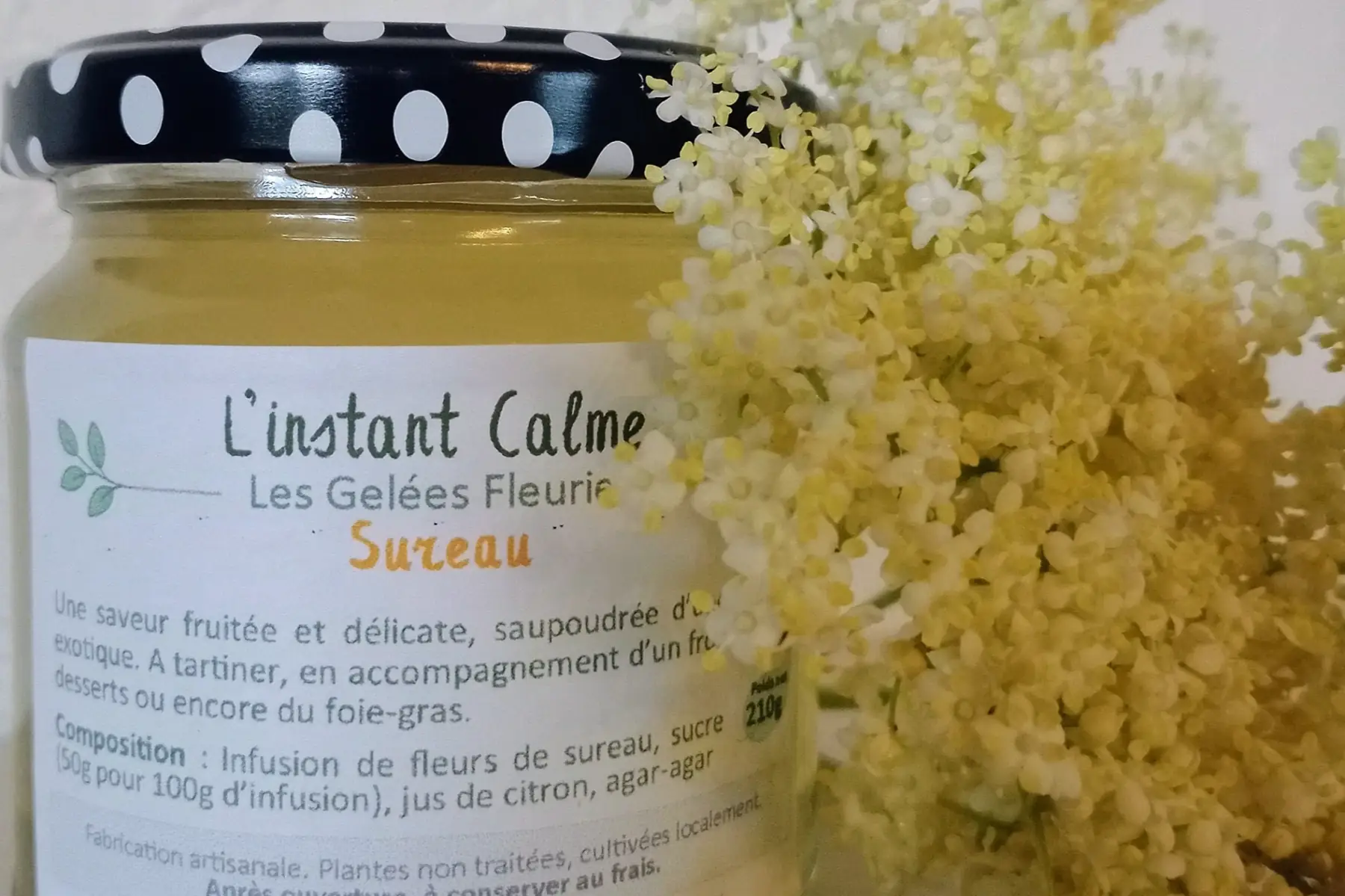Gelée de Sureau