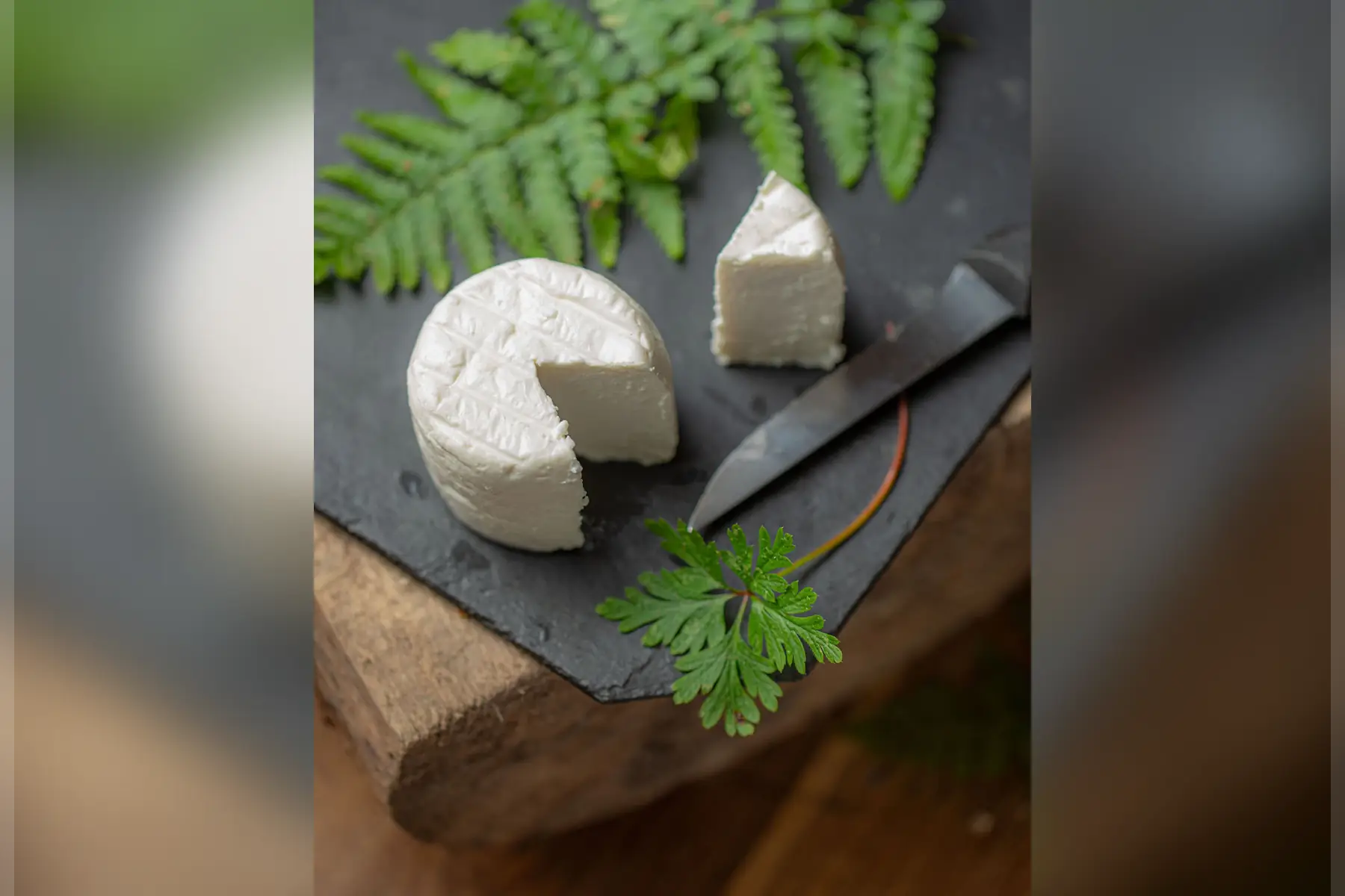fromage de chèvre frais bio