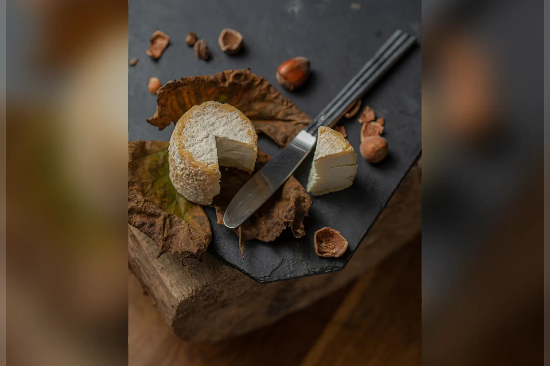 fromage de chèvre affiné bio