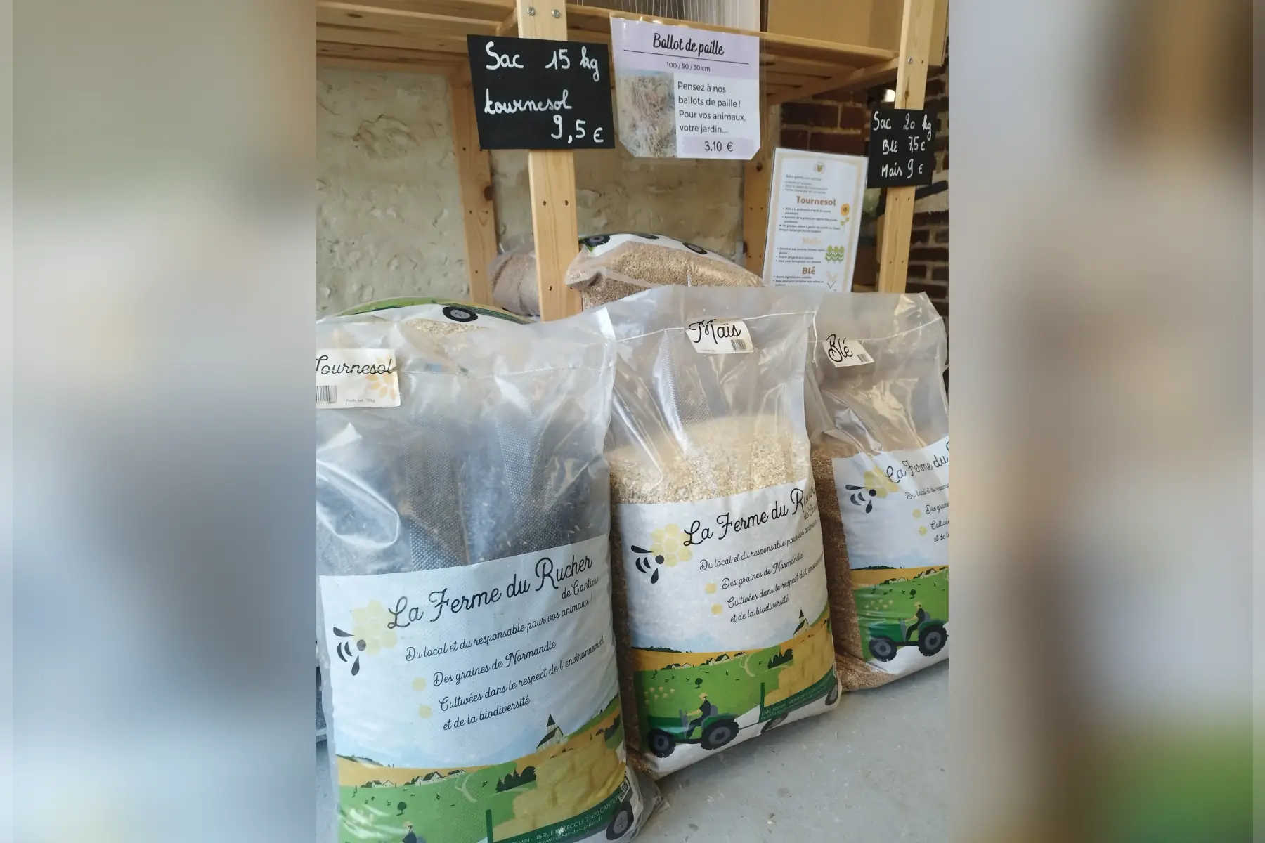 graines pour animaux