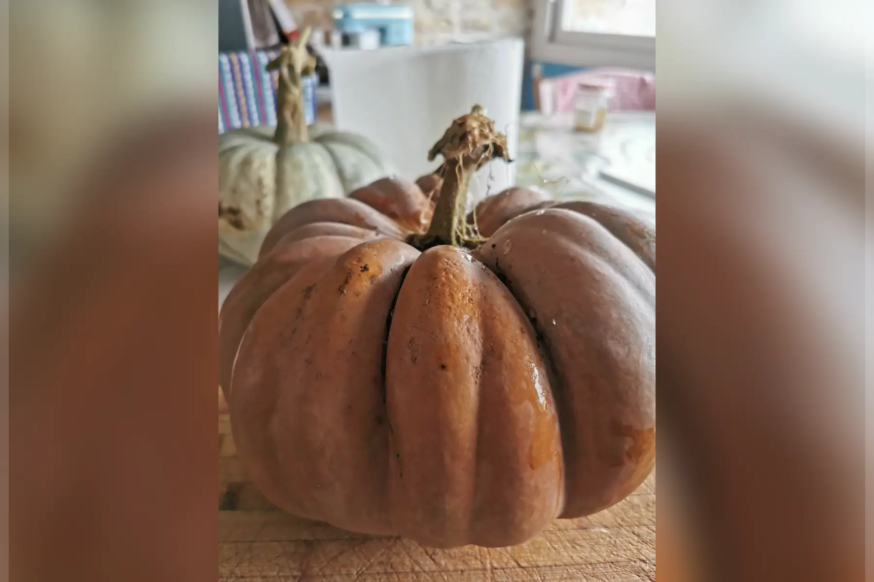 Courges musquée de Provence