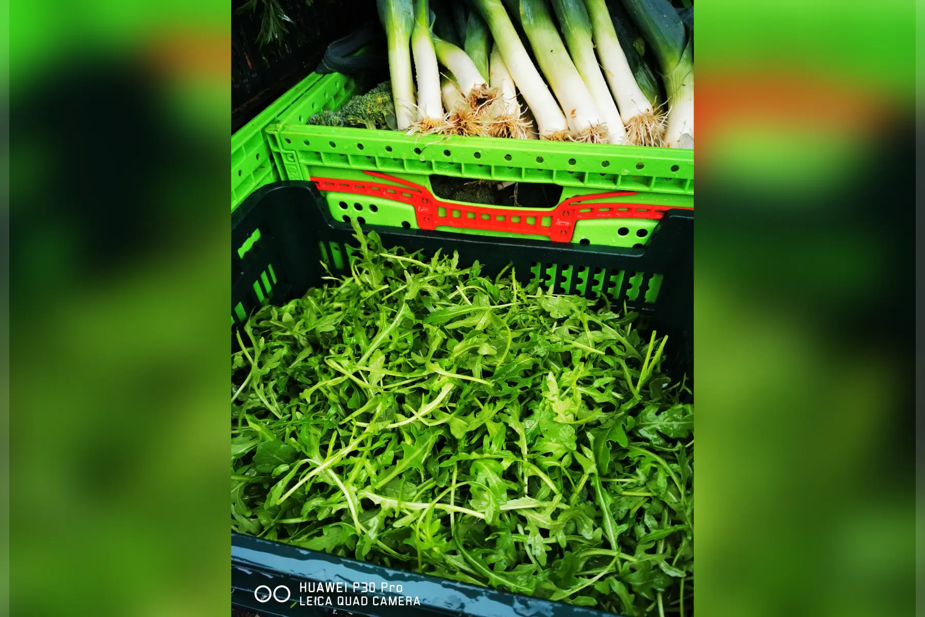 Roquette