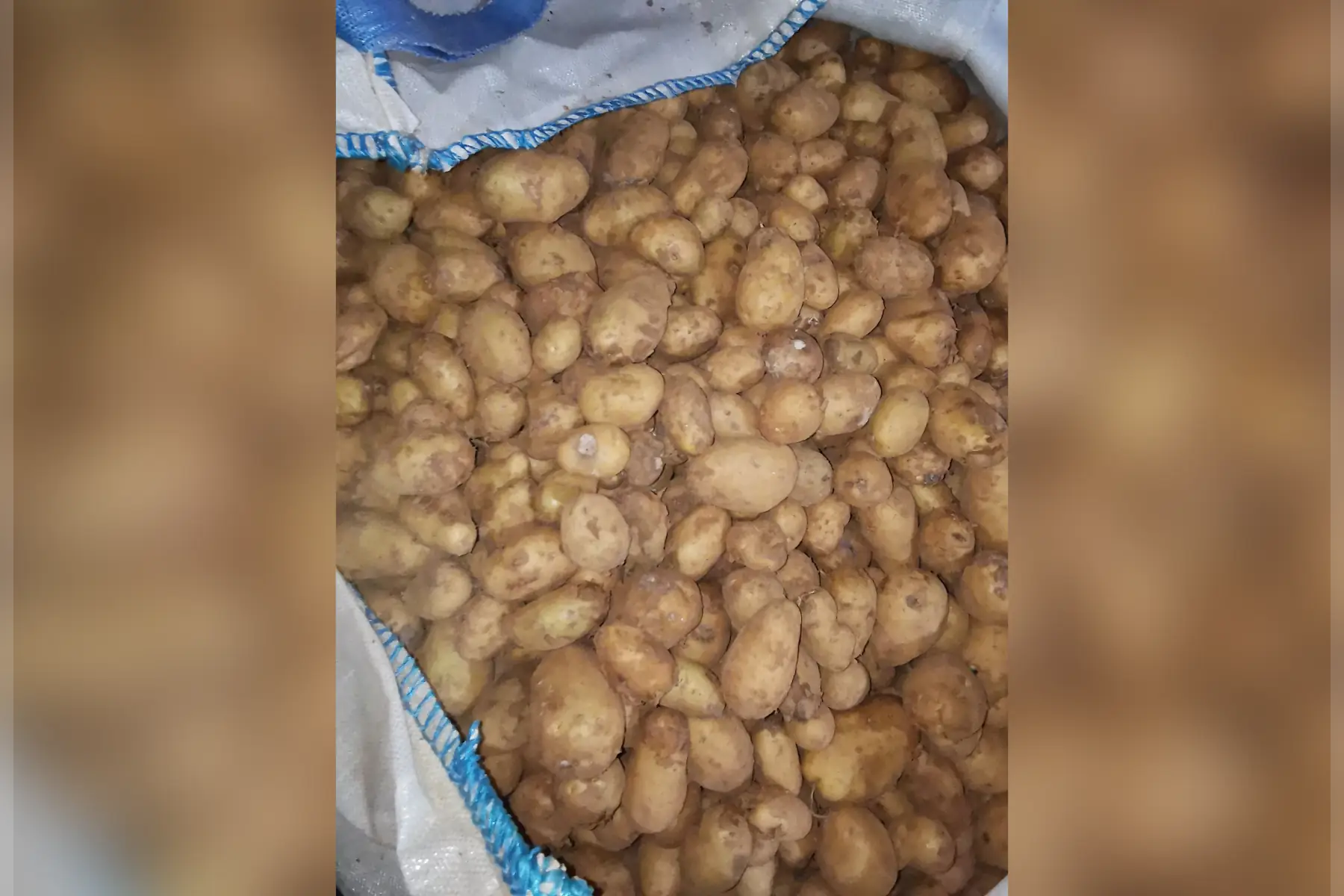 Pommes de terre DECLASSEES