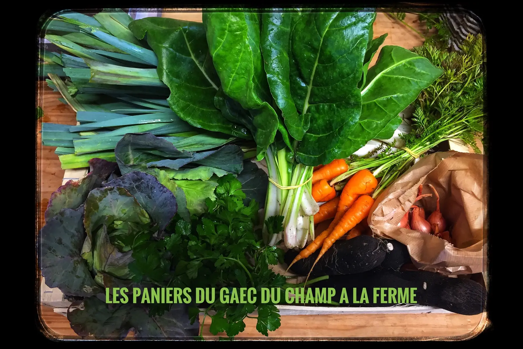 grand panier de légumes ab