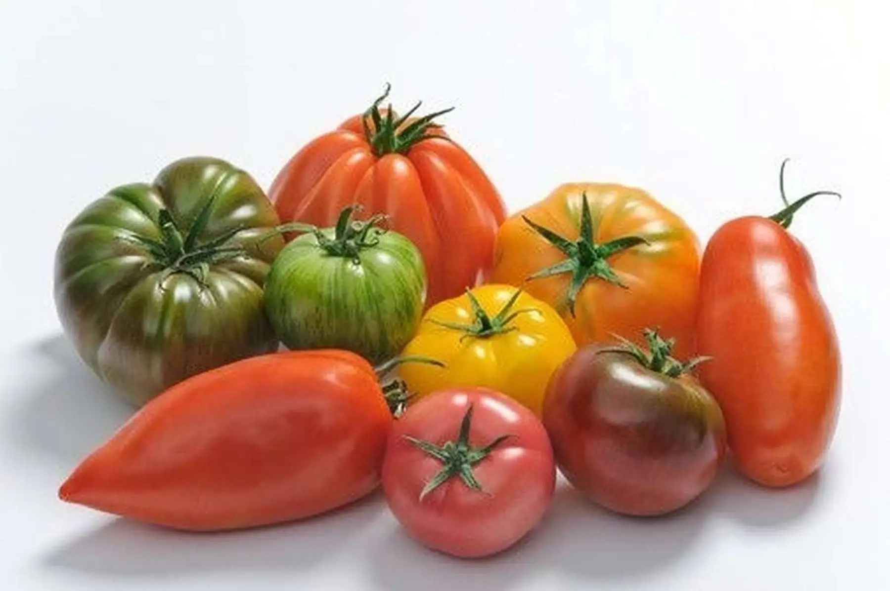 tomate ancienne