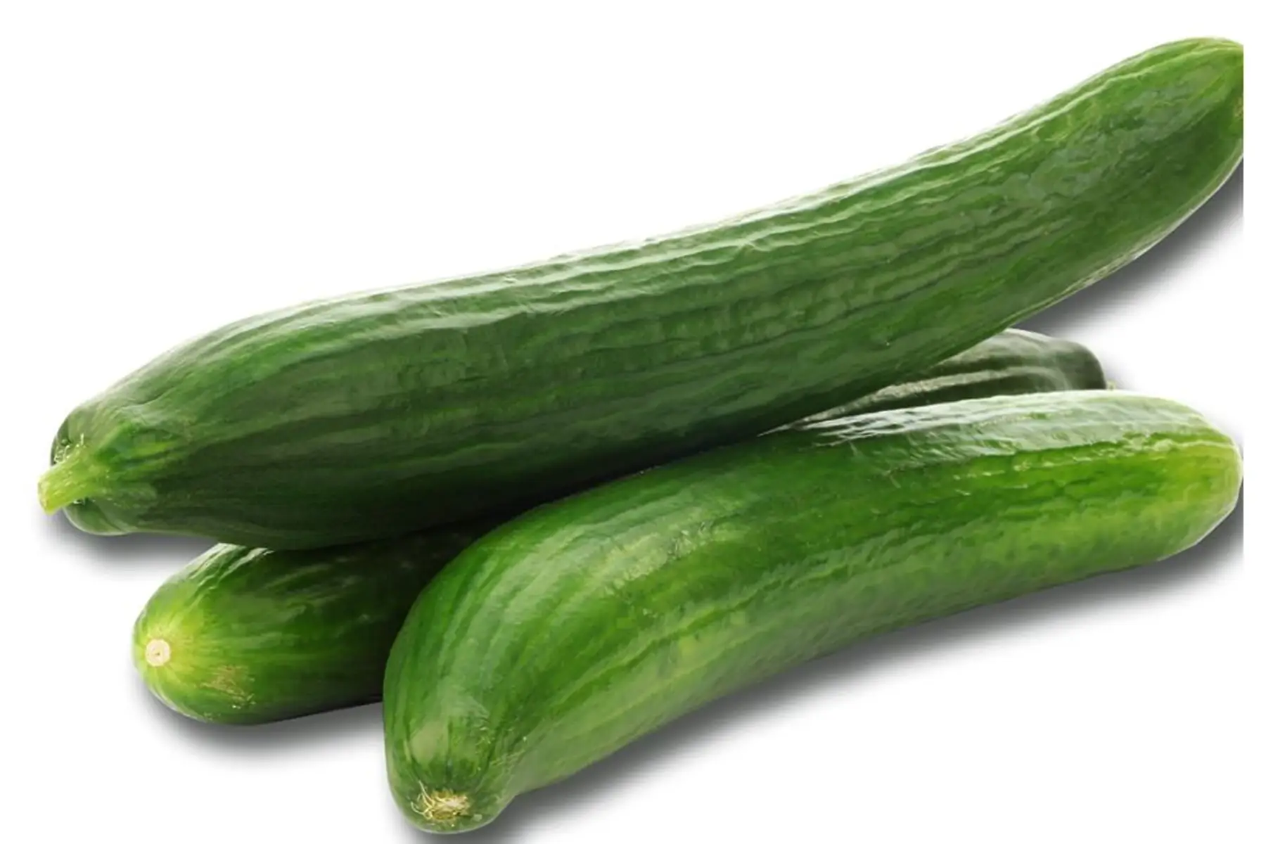 concombre