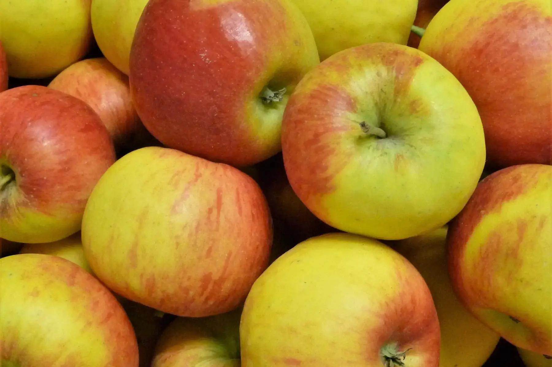 épicerie - pomme topaz