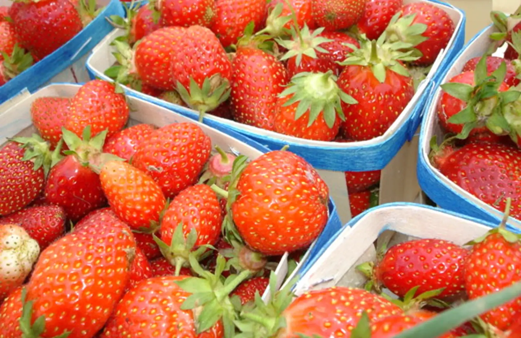 épicerie - fraise 250g