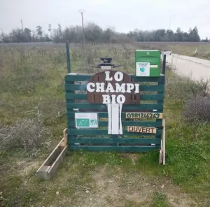 laurent disson Lo Champi Bio