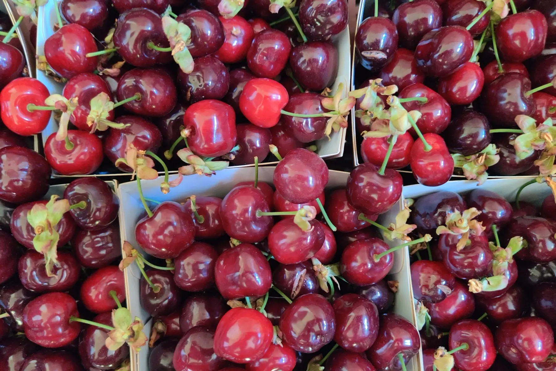 Cerises barquettes 500gr