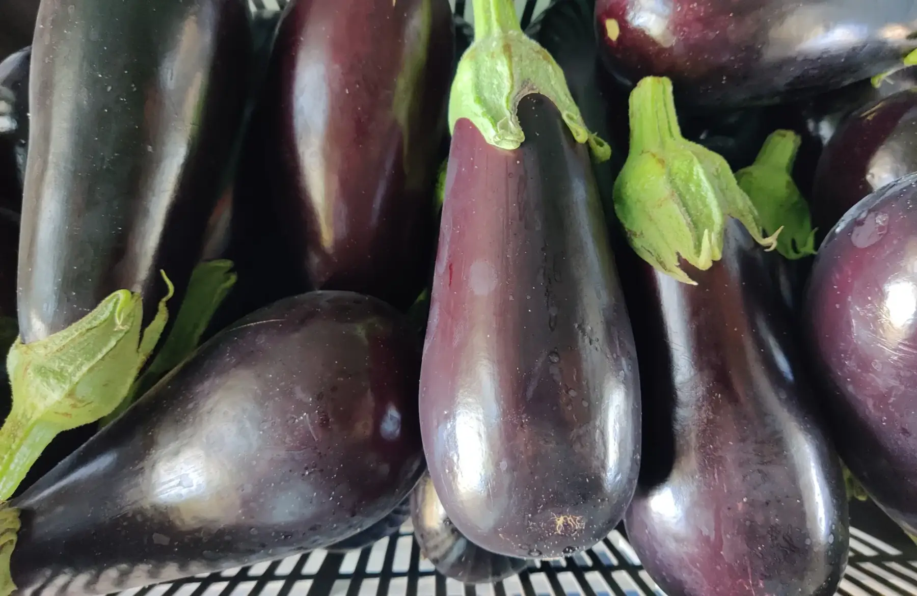 Aubergines