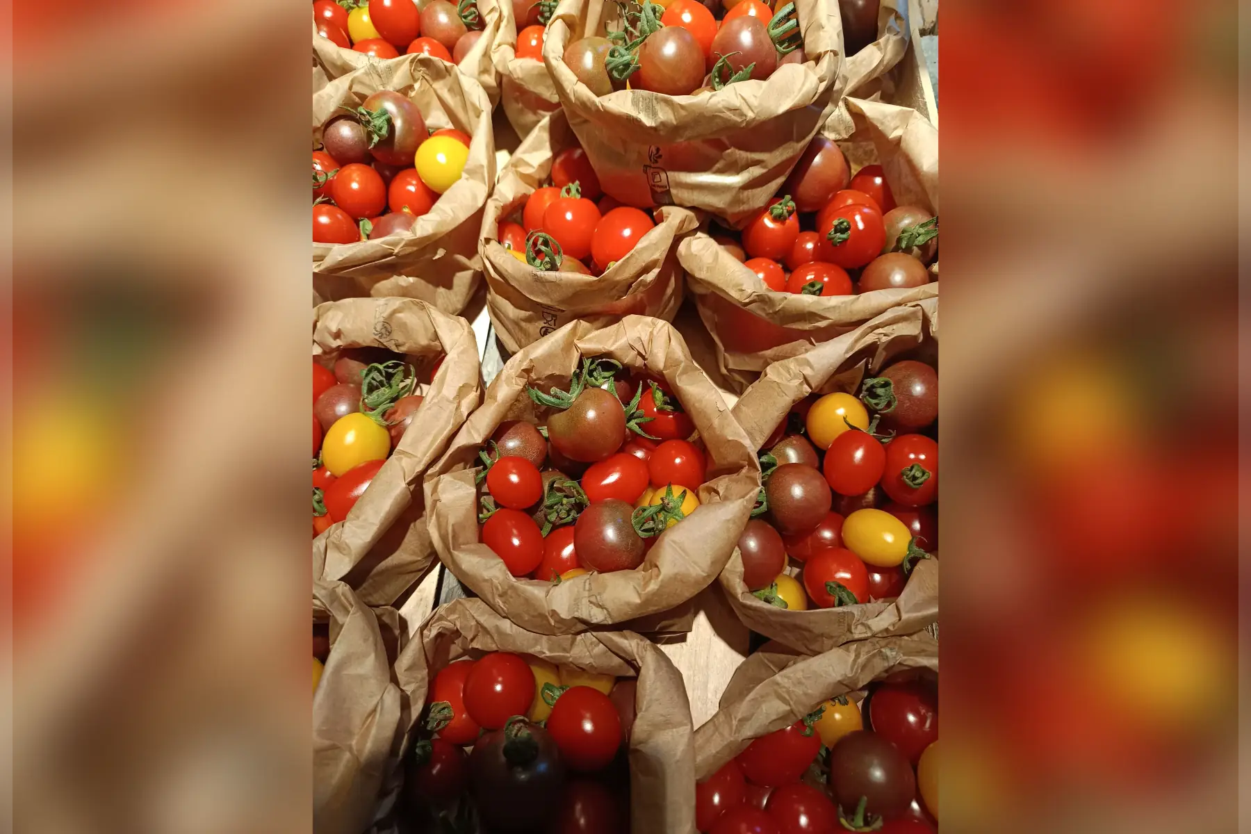 tomates cerises 🍅