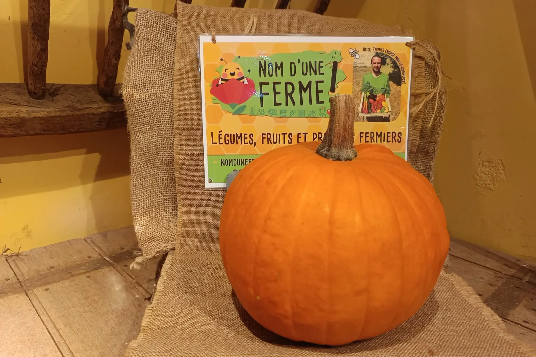 Courge Jack ô lantern halloween