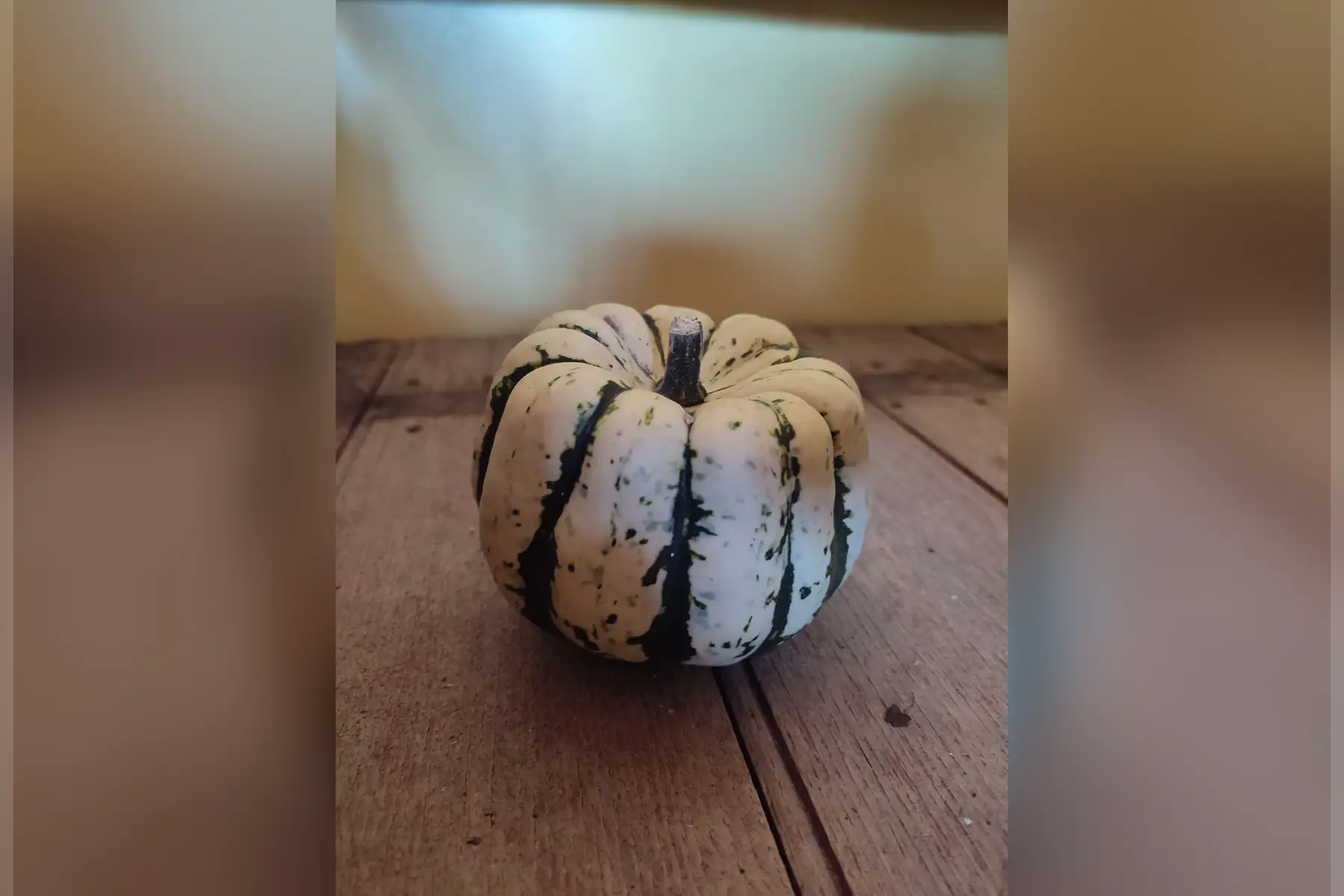 courge patidou