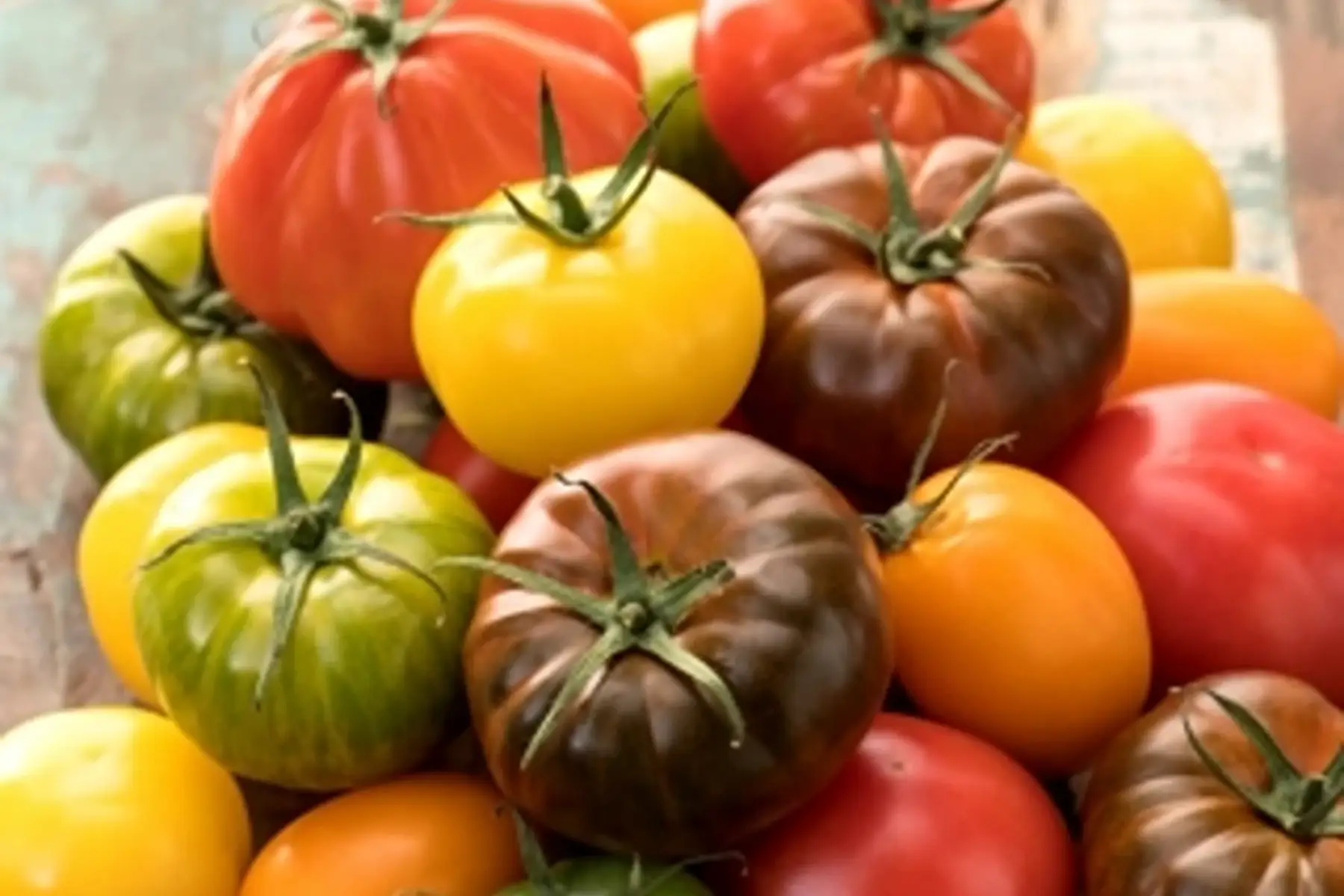 tomates en sachet de 1kg (anciennes ou rondes)