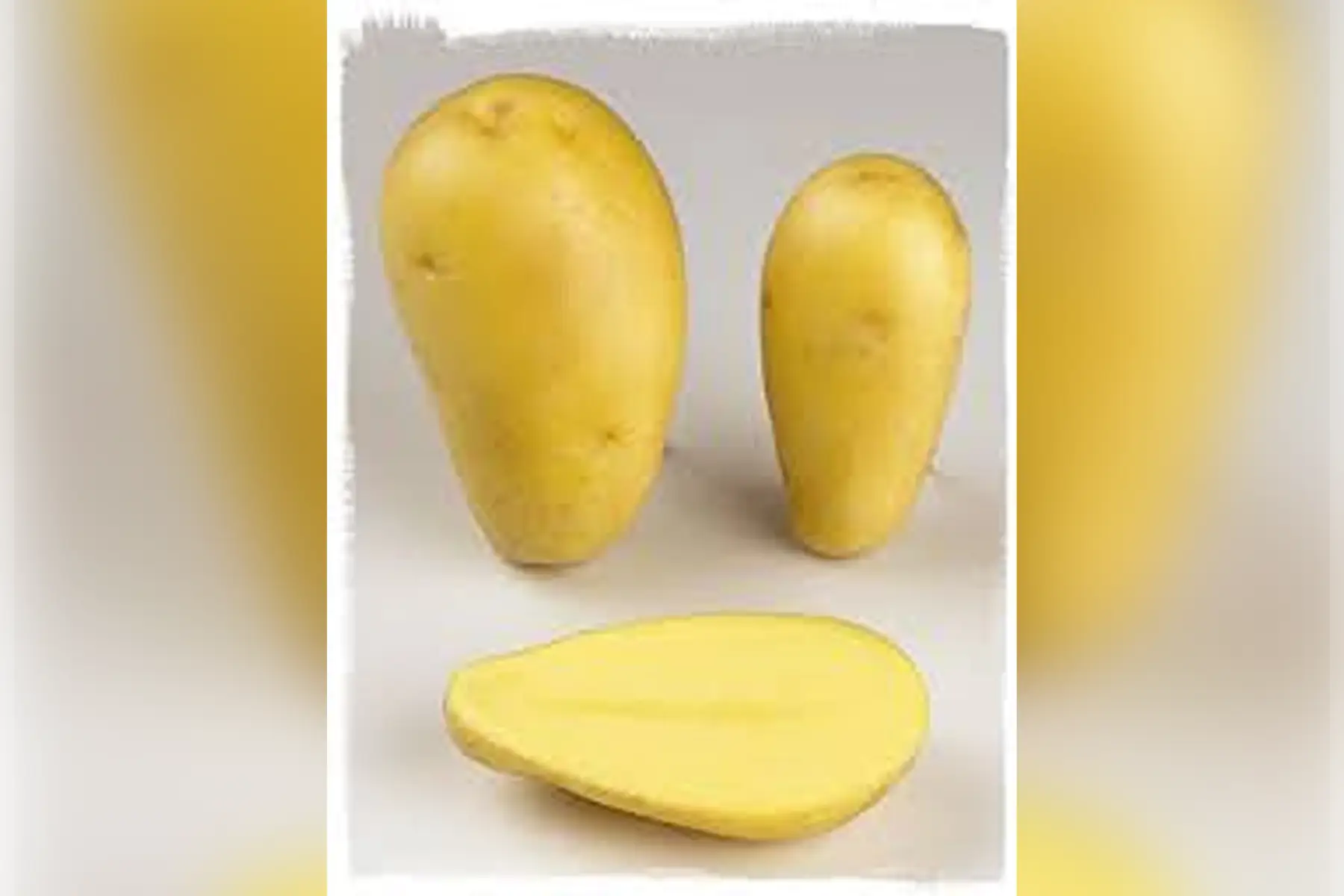 pomme de terre sachet 1kg