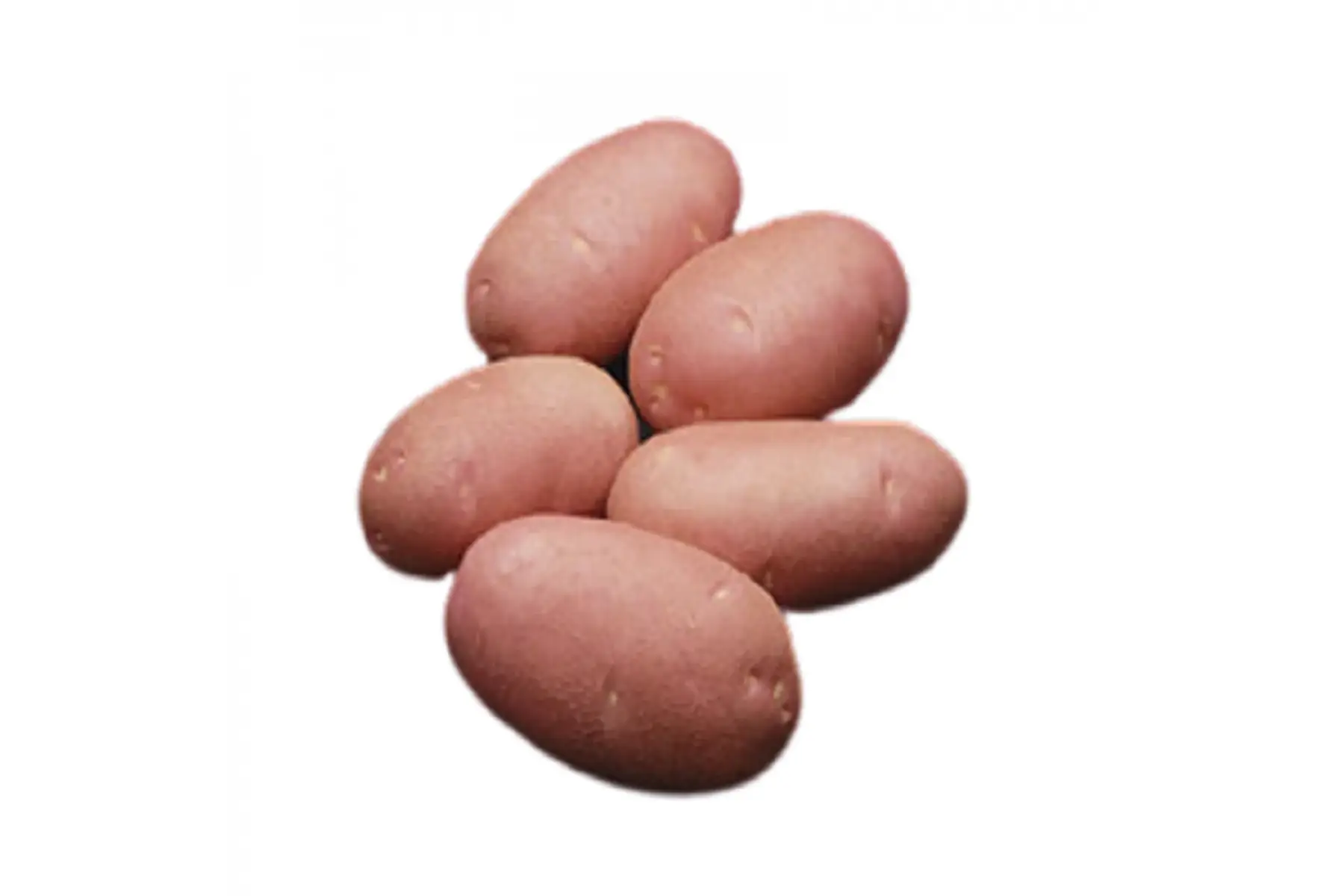 pommes de terre Ottalia, sachet 1kg
