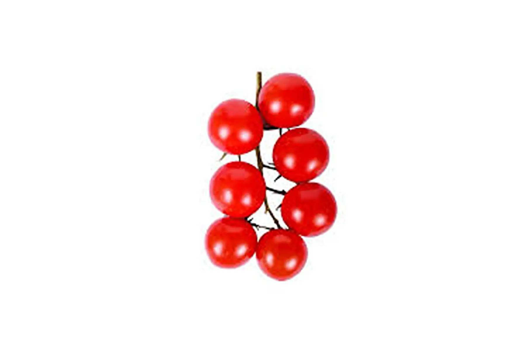 tomates cocktail rouge ou noire