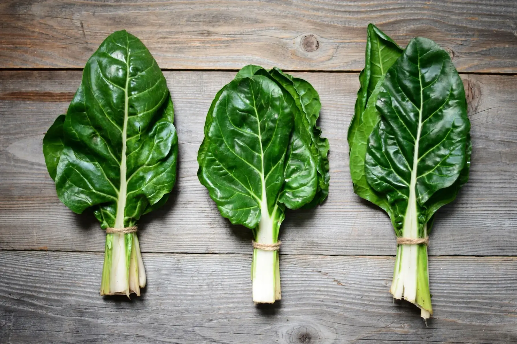 blettes bottes de 700g