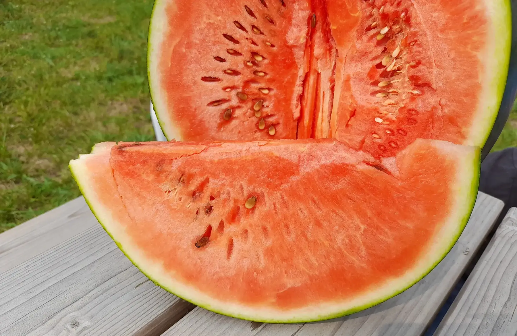 Pastèque