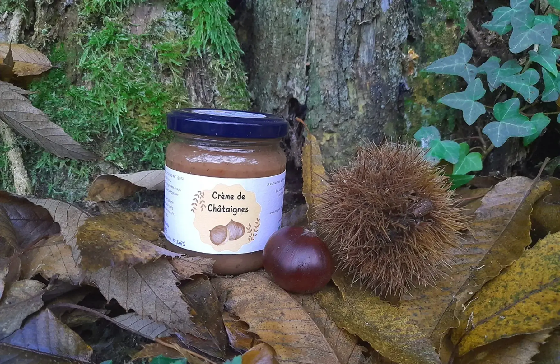 crème de châtaignes